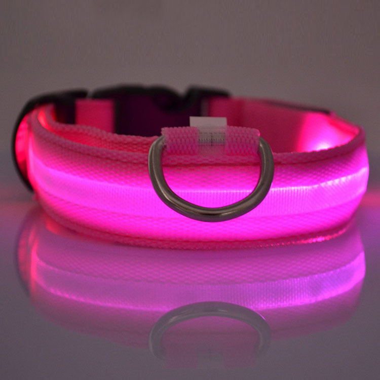 Say Goodbye to Dark Walks and Hello to Safety with The Daisy LED Dog Collar!