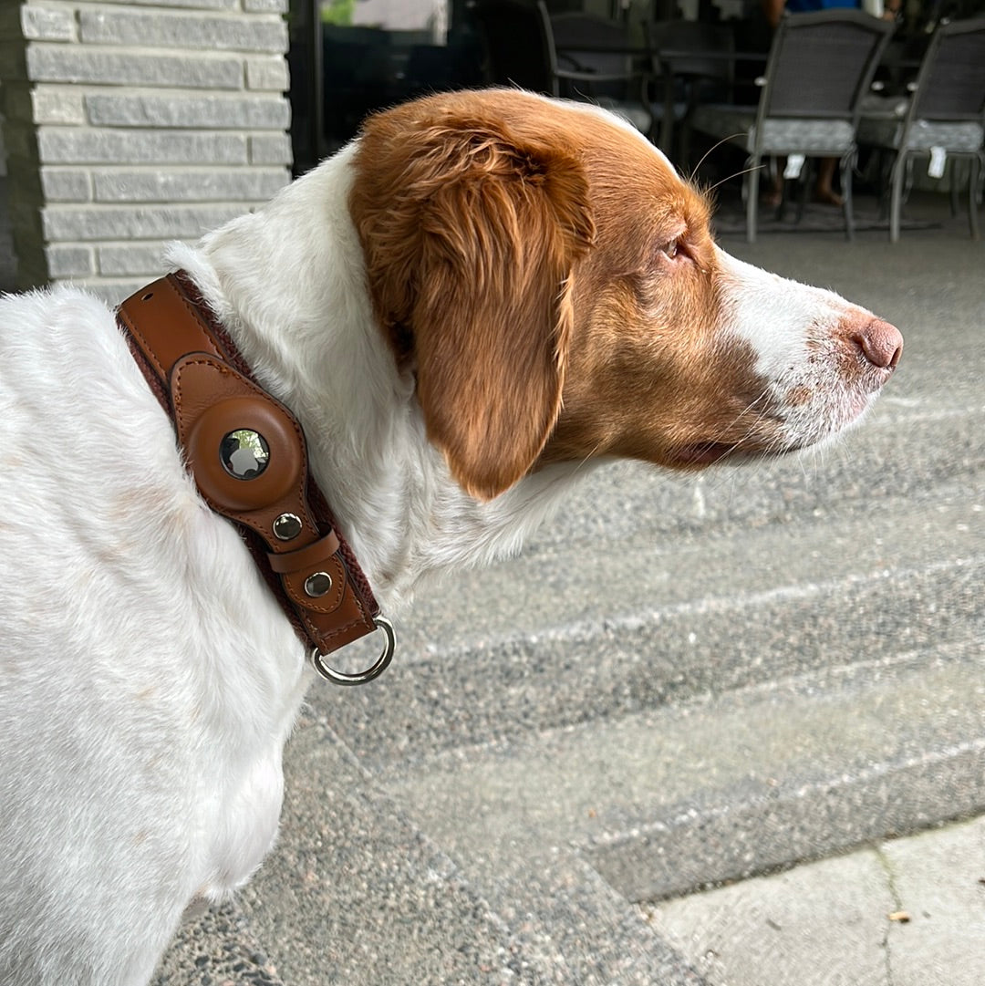 Revolutionize Your Dog’s Safety with The Buddy Air Tag Collar!