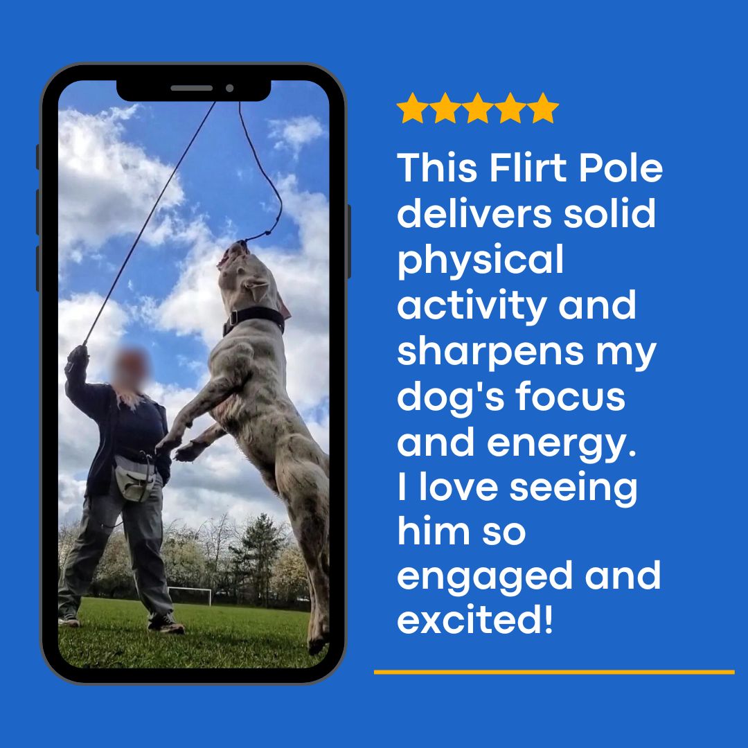 The Kobe Flirt Pole Delivers Thrills and Excitement!