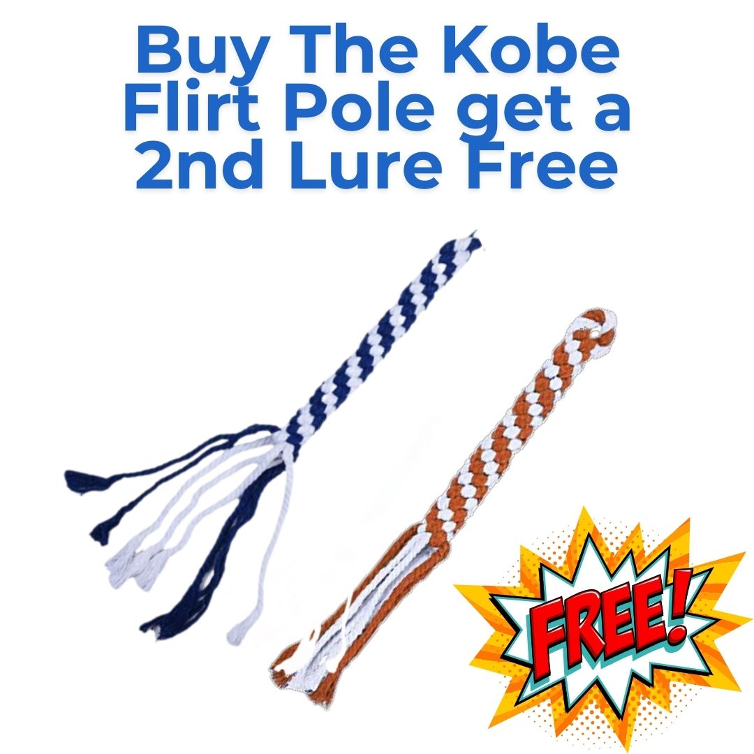 The Kobe Flirt Pole Delivers Thrills and Excitement!