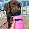 The Kana Dog Water Bottle | Convenience On-The-Go